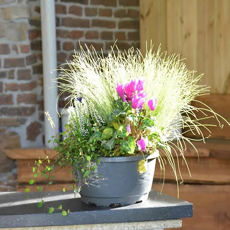 Сasa de vacaciones Group With Sauna